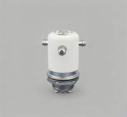 kopen JPK-2-WP High Voltage Relay DC15KV Draag 50A stroom Vacuum Relay Switch Coil Spanning 24 VDC 12VDC online manufacture