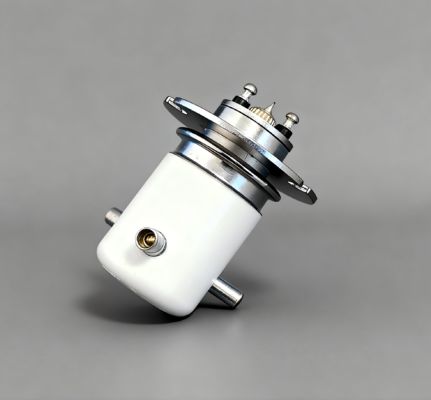 kopen 15KV gelijkstroom-Hoogspannings Vacuümrelais voor de Schakelaar van gelijkstroom of van de Wisselstroom het Gebruiken online manufacture